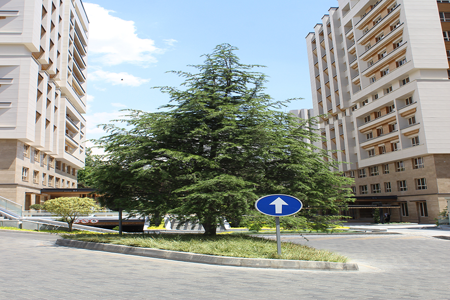 مجتمع مسکونی باغ بهشت سعادت آباد